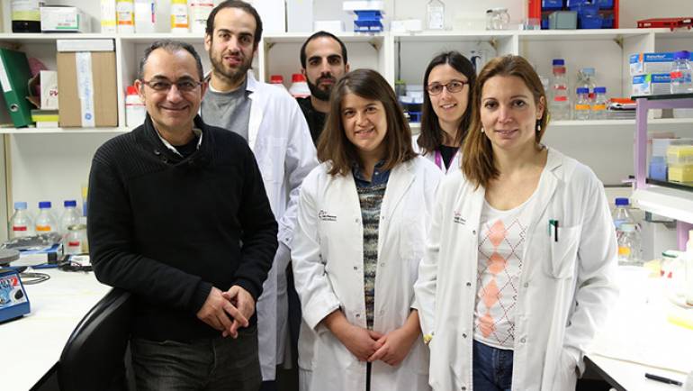 The team of Dr. Simó Schwartz Jr gets a polymeric nanomedicine which facilitates concurrent therapies of pharmacological and gene silencing