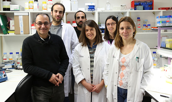 The team of Dr. Simó Schwartz Jr gets a polymeric nanomedicine which facilitates concurrent therapies of pharmacological and gene silencing