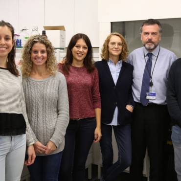 VHIR researchers receive European funding for liver disease research