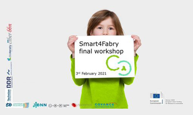 Final workshop of the Smart4Fabry project